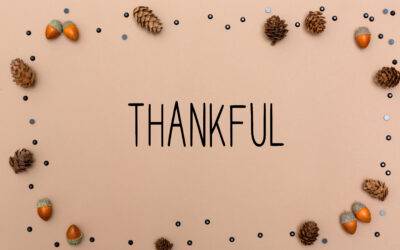 November at Jill Leopold Law: Gratitude, Compassion, and Support